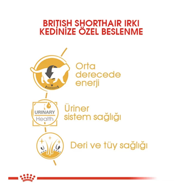 Royal Canin British Shorthair Pouch Yetişkin Kedi Maması 85 Gr 1 Adet