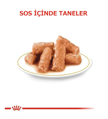 Royal Canin British Shorthair Pouch Yetişkin Kedi Maması 85 Gr 1 Adet