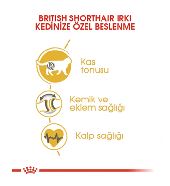 Royal Canin British Adult Yetişkin Kedi Maması 10 Kg