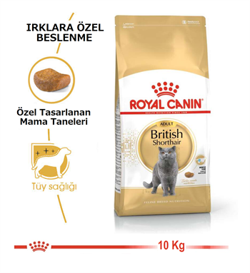 Royal Canin British Adult Yetişkin Kedi Maması 10 Kg