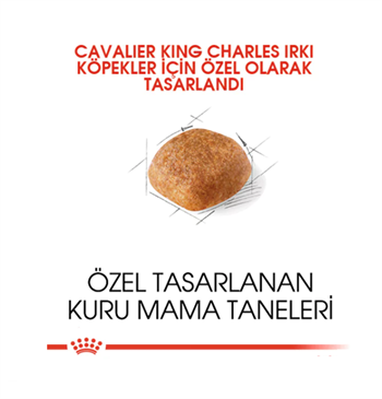 Royal Canin Cavalier Charles Adult Yetişkin Köpek Maması 1.5 Kg