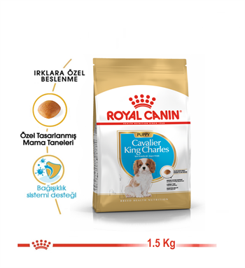 Royal Canin Cavalier King Charles Puppy Yavru Köpek Maması 1.5 Kg
