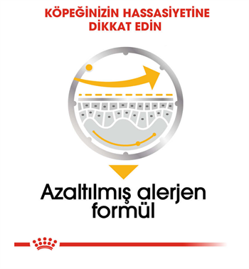 Royal Canin Dermacomfort Loaf Pouch Adult Tüm Irk Köpekler İçin Deri ve Tüy Sağlığı Yaş Maması 85 Gr