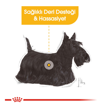 Royal Canin Dermacomfort Loaf Pouch Adult Tüm Irk Köpekler İçin Deri ve Tüy Sağlığı Yaş Maması 85 Gr