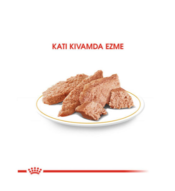 Royal Canin Dermacomfort Loaf Pouch Adult Tüm Irk Köpekler İçin Deri ve Tüy Sağlığı Yaş Maması 85 Gr