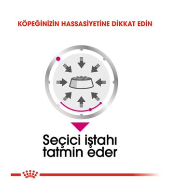 Royal Canin Exigent Loaf Pouch Adult Tüm Irklar İçin Köpek Yaş Maması 85 Gr. 12 Adet