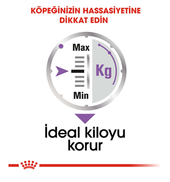 Royal Canin Ccn Sterilised Loaf Yaş Köpek Maması 85 Gr