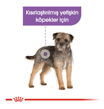 Royal Canin Ccn Sterilised Loaf Yaş Köpek Maması 85 Gr