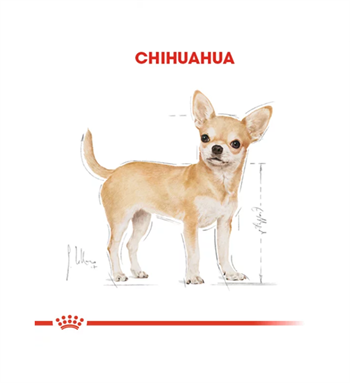 Royal Canin Chihuahua Adult Yetişkin Köpek Maması 1.5  Kg
