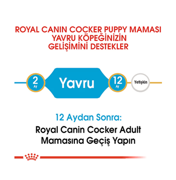 Royal Canin Cocker Puppy Yavru Köpek Maması 3 Kg