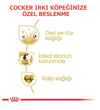 Royal Canin Cocker Adult Yetişkin Köpek 3 Kg