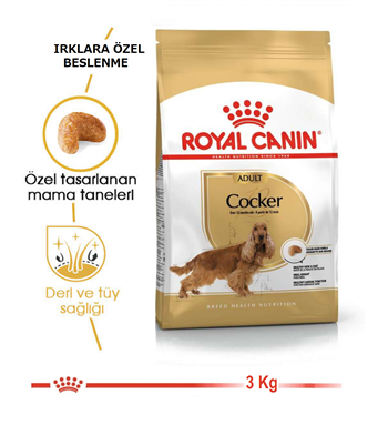 Royal Canin Cocker Adult Yetişkin Köpek 3 Kg