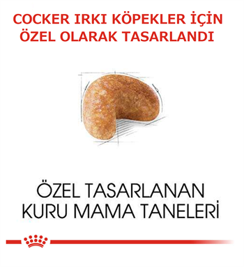 Royal Canin Cocker Adult Yetişkin Köpek 3 Kg
