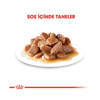 Royal Canin Digest Sensitive Gravy Pouch Yetişkin Kedi Yaş Maması 85 Gr. 1 Adet