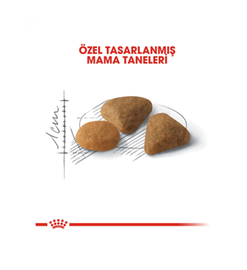 Royal Canin Exigent Hassas Seçici Kediler İçin Kedi Maması 10 Kg