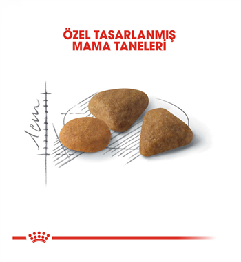 Royal Canin Savour Exigent Seçici Yetişkin Kedi Maması 4 Kg 