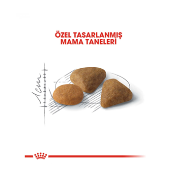 Royal Canin Exigent Hassas Seçici Kediler için Kedi Maması 2 Kg