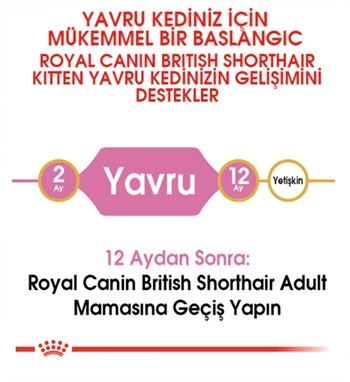Royal Canin Feline Kitten British Shorthair Yavru Kedi Maması 2Kg