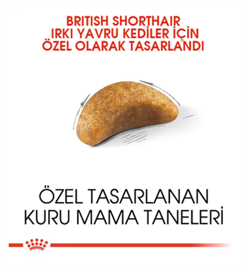 Royal Canin Feline Kitten British Shorthair Yavru Kedi Maması 2Kg