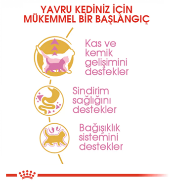 Royal Canin Feline Kitten British Shorthair Yavru Kedi Maması 2Kg