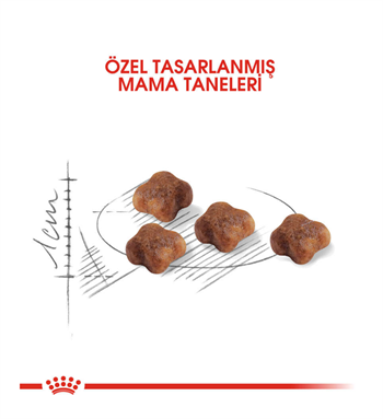 Royal Canin Mother & Baby Cat Yavru Kedi Maması 4 Kg.