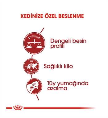 Royal Canin Fit 32 Yetişkin Kedi Maması 15 Kg 