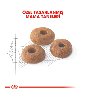 Royal Canin Fit 32 Yetişkin Kedi Maması 400 Gr.