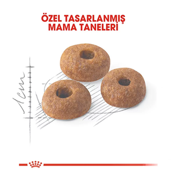 Royal Canin Fit 32 Yetişkin Kedi Maması 4 Kg