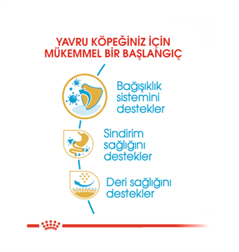 Royal Canin French Bulldog Puppy Yavru Köpek Maması 3 Kg