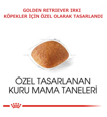 Royal Canin Golden Retriever Köpek Maması 12Kg