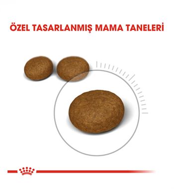 Royal Canin Hair Skin Adult Hassas Tüylü Yetişkin Kedi Maması 4 Kg