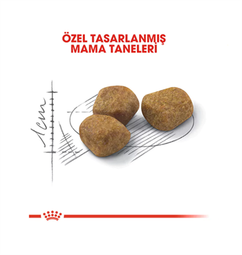 Royal Canin Indoor +7 - 7 Yaş Üzeri Kedi Maması 3.5 Kg.