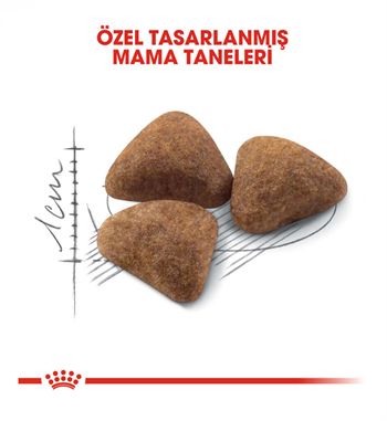 Royal Canin Indoor Yetişkin Kedi Maması 2 Kg