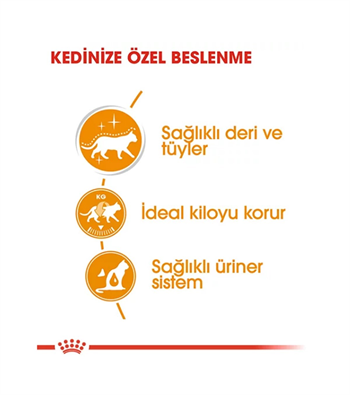 Royal Canin Intense Beauty Gravy Pouch Yetişkin Kedi Yaş Maması 85 Gr. 1 Adet