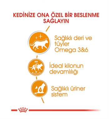Royal Canin Intense Beauty Jelly Pouch Kedi Maması 85 Gr 1 Adet