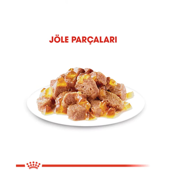 Royal Canin Intense Beauty Jelly Pouch Kedi Maması 85 Gr 1 Adet