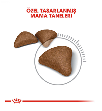 Royal Canin Hairball Care Tüy Yumağı Kontrolü Yetişkin Kedi Maması 2 Kg