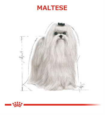 Royal Canin Maltese Adult Yetişkin Köpek Maması 1.5 kg