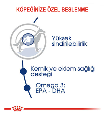 Royal Canin Maxi Adult Büyük Köpek Maması 15 Kg