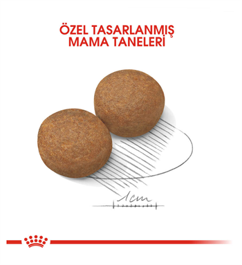 Royal Canin Maxi Adult Büyük Köpek Maması 15 Kg