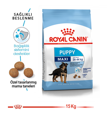 Royal Canin Maxi Junior Büyük Irk Yavru Köpek Maması 15 Kg