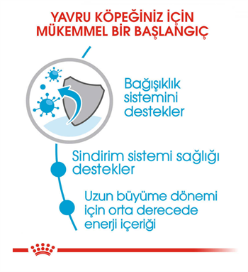 Royal Canin Maxi Junior Büyük Irk Yavru Köpek Maması 15 Kg