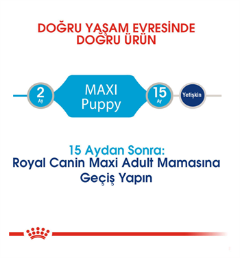 Royal Canin Maxi Junior Büyük Irk Yavru Köpek Maması 15 Kg