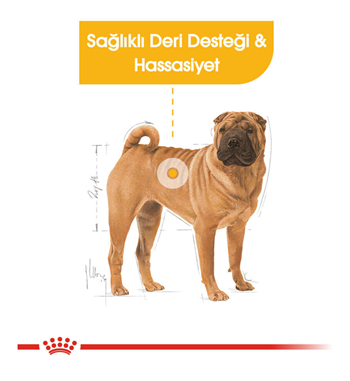 Royal Canin Medium Dermacomfort Orta Irk Hassas Yetişkin Köpek Maması 12 Kg.