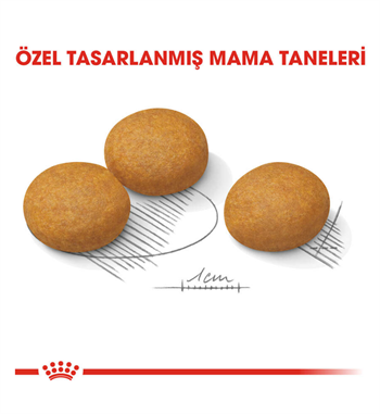 Royal Canin Medium Dermacomfort Orta Irk Hassas Yetişkin Köpek Maması 12 Kg.