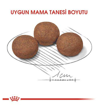 Royal Canin Medium Puppy Orta Irk Yavru Köpek Maması 15 Kg.