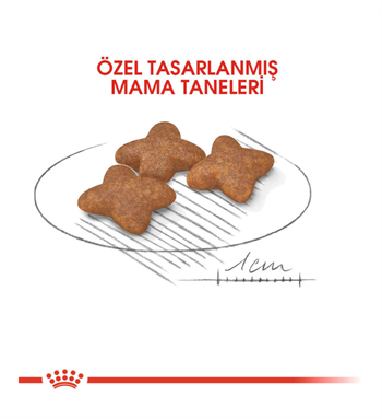 Royal Canin Mini Adult Köpek Maması 4 Kg