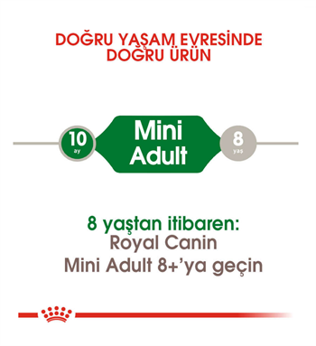 Royal Canin Mini Adult Köpek Maması 4 Kg