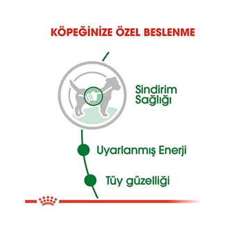 Royal Canin Mini Adult Pouch Konserve Köpek Maması 85 Gr. 1 Adet