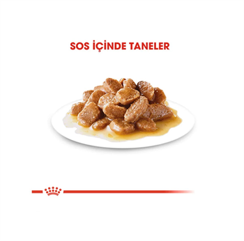 Royal Canin Mini Adult Pouch Konserve Köpek Maması 85 Gr. 1 Adet